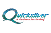 to_Quicksilver_2x-removebg-preview